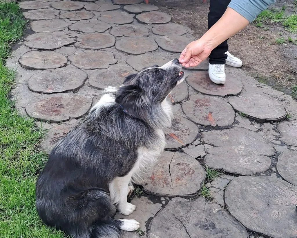10. Welcome to the little furries! We're pet friendly