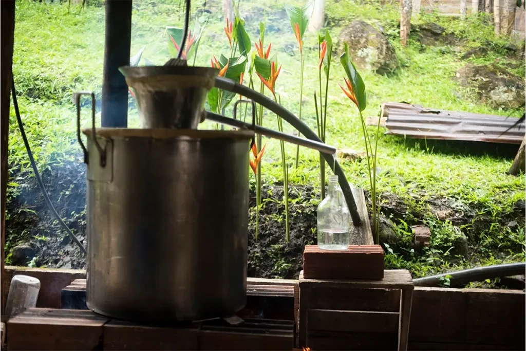 Alambique artesanal para destilación de viche en el Pacífico colombiano.