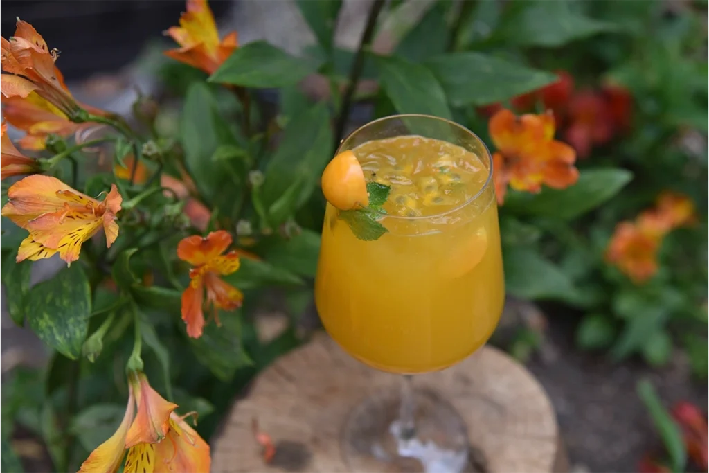 Coctel de lulo con menta y uchuva entre flores del jardín de 3 Soles Chía