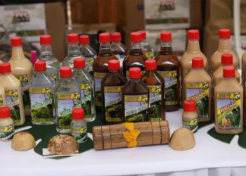 Variedad de botellas de viche artesanal del Pacífico colombiano en exposición